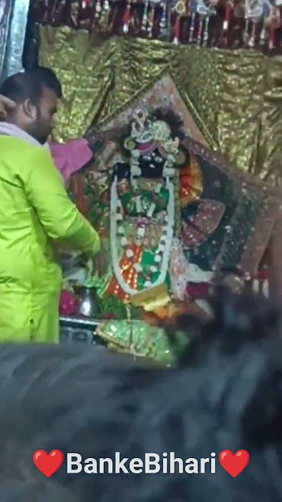 Banke Bihari Hum ko Bhul na Jana #bankebihari #trending #vrindavan #youtubeshorts #shorts #short
