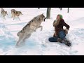 She Thought It Was The End When A Wolf Surrounded Her, But Suddenly the Incredible Happened.