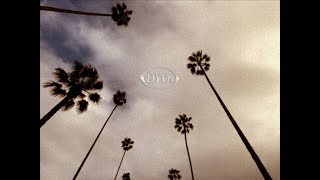 DYVN - Palm Trees (Visualizer)