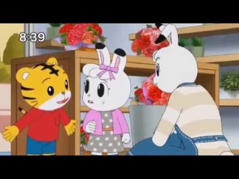 しまじろうのわお みみりんの プレゼント