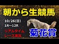 🏇菊花賞実況!【中央競馬実況】 生配信!! Horse Racing Commentary as huge as a horse’s !(東京、京都)