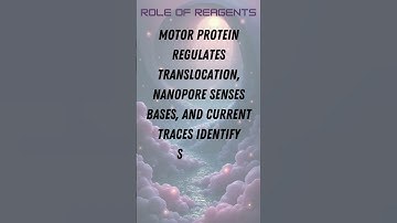Nanopore Direct RNA Sequencing