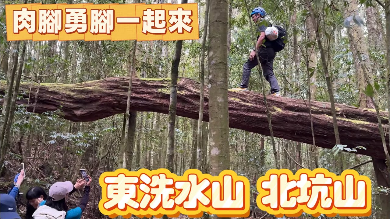 東洗水山、北坑山、雪見遊憩區：勇腳肉腳一起來👫@雪霸國家公園@苗栗