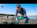 Squirting Clams Pulled up from the MUCK!