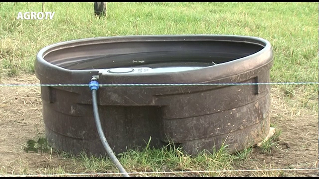 PORTRET DE FERMIER CALIN STEGERAN