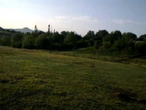 ცენზურა :)