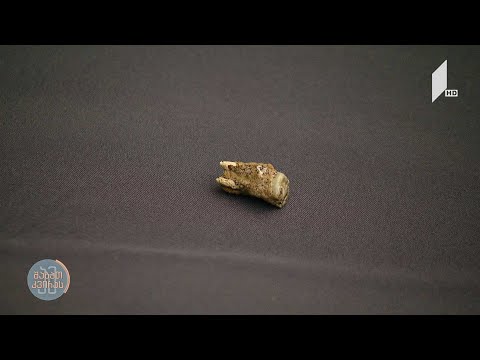 ოროზმანის არქეოლოგიურ გათხრებზე 1,8 მილიონის წლის წინანდელი ჰომო ერექტუსის კბილი იპოვეს