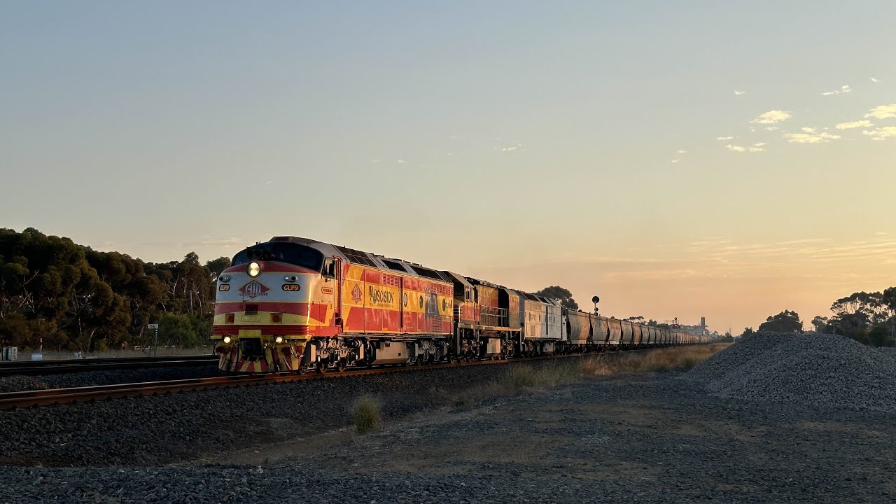 Lineside SSR Grain late March 2024