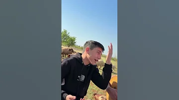لا تناديني ياراعي حسام مراد 