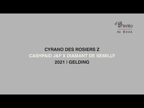 Cyrano Des Rosiers Z