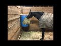 DIY 55 gallon horse hay feeder