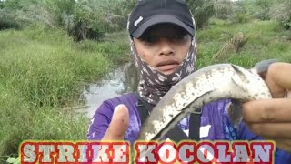 Strike kocolan