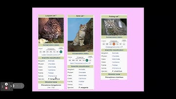 4.2.2. Classification and Evolution a) Taxonomic hierarchy b) Binomial naming system