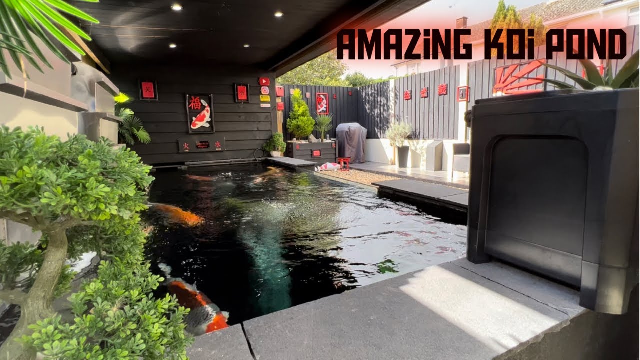 THE Dream KOI POND FILTER HOUSE !!! **NEW IDEAS ** - YouTube