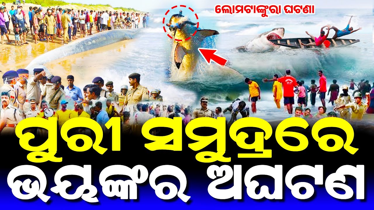 ପୁରୀ ସମୁଦ୍ରରେ ଭୟଙ୍କର ଅଘଟଣ | ମହାପ୍ରଭୁଙ୍କ ଅପୂର୍ବ ଲୀଳା | Lord Jagannath Story | Odia Short Story