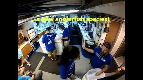 DEEPEND - MOCNESS Returns