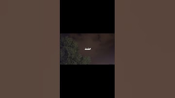سورة الاخلاص ، الشيخ احمد بن طالب #قرآن #أحمد_طالب #اكسبلور