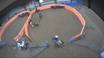 Big Sky Ranch Sorting Saddle Series #3 - #7 Sort - Round #1 - Ride #10