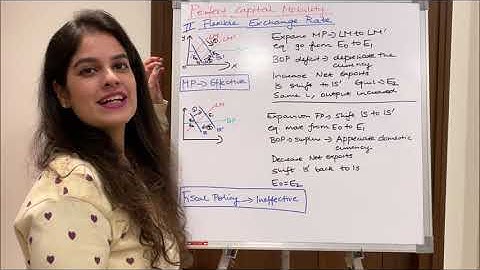 The Mundell-Fleming Model by Vidhi Kalra