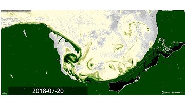 Wandering cyanobacteria in the Baltic Sea, CREODIAS/powered by Eversis
