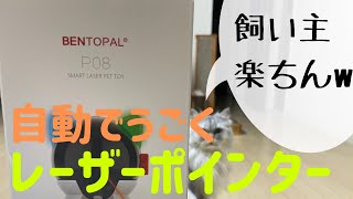 【猫品種ラガマフィン】おしゃれな自動レーザーポインター