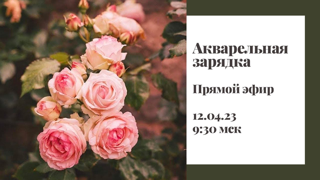 Акварельная зарядка. Акварельная зарядка. Акварельная зарядка. Остапенко акварель. Акварельная зарядка.