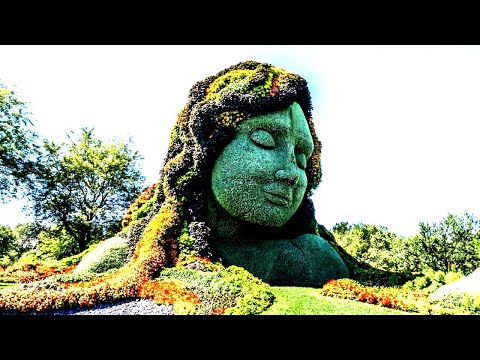 Видео: The Most Unusual Gardens in the World