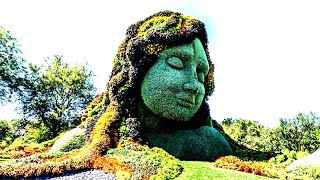 The Most Unusual Gardens in the World