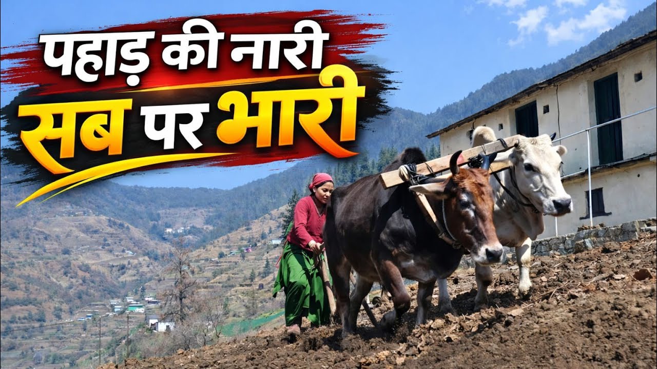 हमें इतनी मेहनत से खेतों का काम करना पड़ता है ll Pahadi Life Style ll Village Vlog ll 