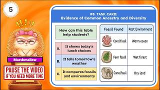NGSS 3rd Grade - Life Science: 3-LS4-1 Evidence of Common Ancestry and Diversity