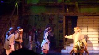 Joseph and the amazing technicolor dreamcoat - Benjamins Calypso