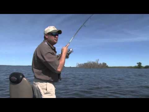 Fish Ed 014 How to Cast Crankbaits for Shallow Walleyes 