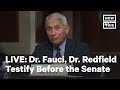 Dr. Anthony Fauci, Dr. Robert Redfield Testify on COVID-19 Response | LIVE | NowThis