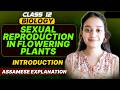 Class 12 Biology in Assamese | Sexual Reproduction in Flowering Plants | Let's Approach| Part 01