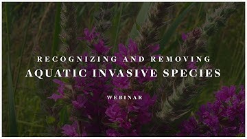Recognizing and removing aquatic invasive species