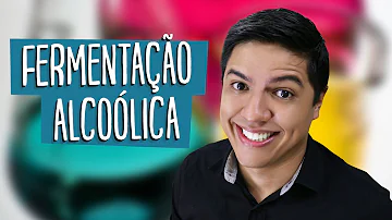 Qual o principal objetivo da levedura na fermentação alcoólica?