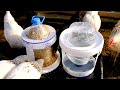 Sıradışı Fikir | Pet Şişe ve Plastik Kovadan Mükemmel Tavuk Suluk ve Yemlik Yapımı