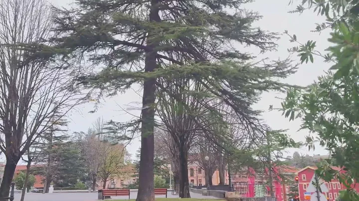 Haize boladak Trapagaranen