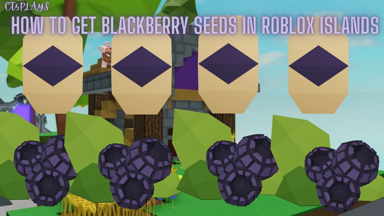 HOW TO GET Blackberry Seeds In Roblox Islands