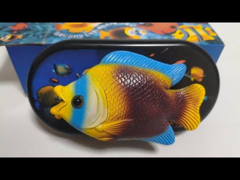 Dancing Mini Fish the tiny singing sensation - YouTube