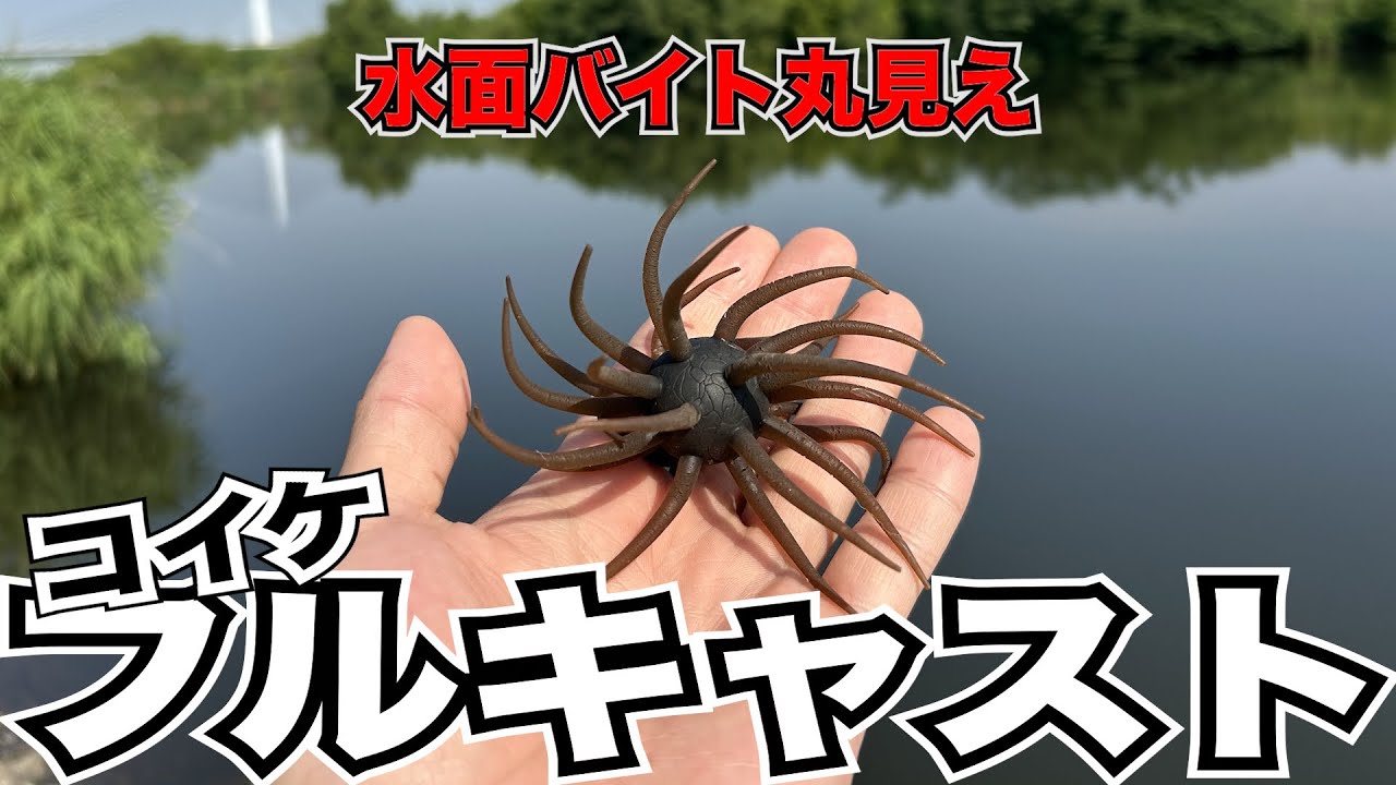 バス釣り】コイケフルキャストのルアーパワー信じられへん人必見