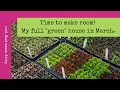 Plants everywhere! | Indoor seed starting