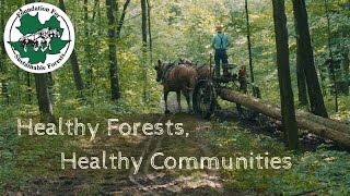 Healthy Forests, Healthy Communities: The Foundation for Sustainable Forests
