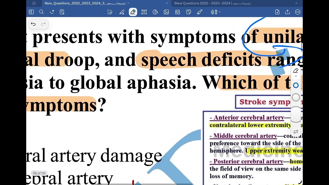 ملف سعيد صفحة 19