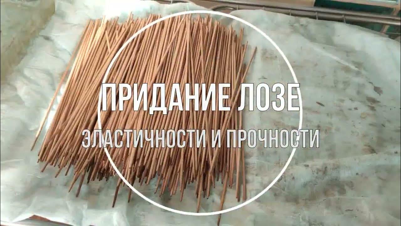 Как обработать лозу для плетения. Приспособление для очистки прутьев своими. Плетеные корзины из веток. Заготовка лозы для плетения. Плетение корзин из ивы.