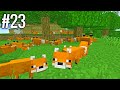 I Found FOX [ ADVENTURE ] - Minecraft Survival Part 23