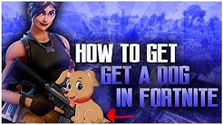 HOW TO GET AN ATTACK DOG IN FORTNITE BATTLE ROYALE!