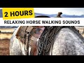 Relaxing Horses Hooves Sounds (2 Hours) 🎧 clip clop walk & nature (no neighing) for sleep relaxation