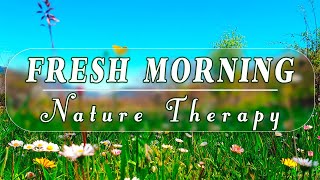 🌿🌞Fresh Morning🌻DELICATE NATURE THERAPY to Start your Day with Positive Energy🌿Healing Spring Sounds