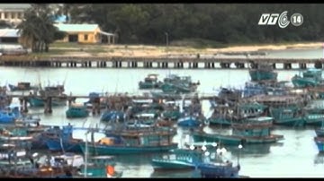 VTC14_Kiên Giang tập huấn kỹ thuật chế biến cá nóc đảm bảo ATTP